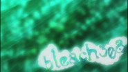 Goodbye…Rangiku