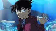 Episode “ZERO” Kudo Shinichi and the Aquarium Case